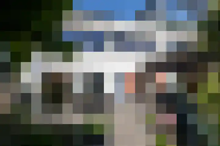 Blauwtjes 7 Breda thumbnail 33