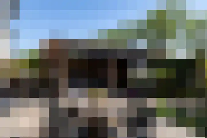 Blauwtjes 7 Breda thumbnail 34