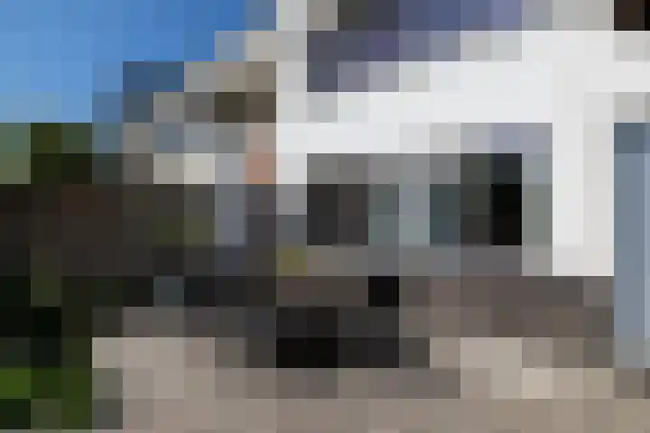 Blauwtjes 7 Breda thumbnail 40