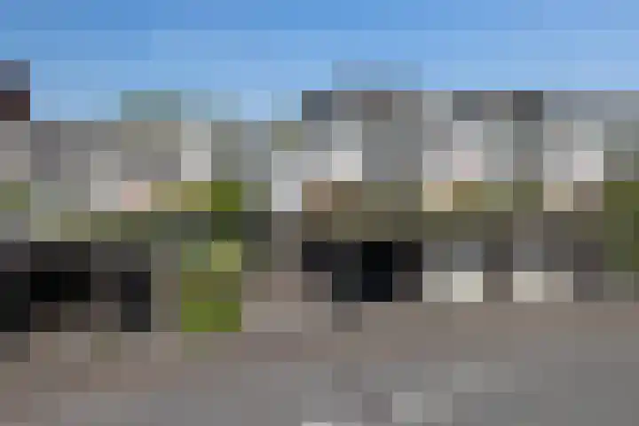 Blauwtjes 7 Breda thumbnail 43