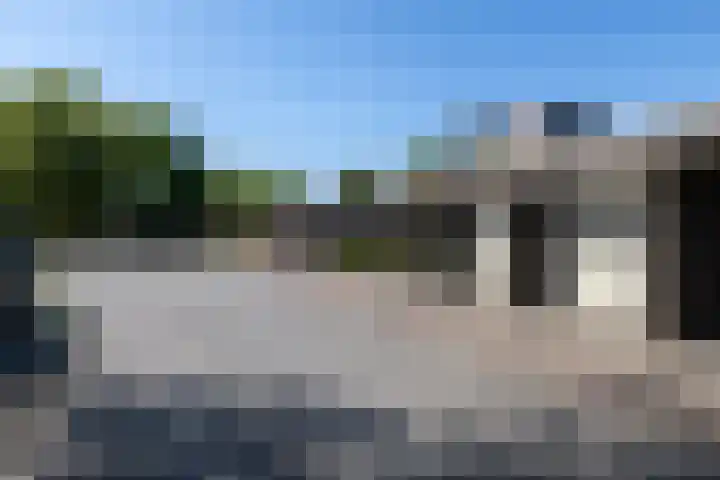 Blauwtjes 7 Breda thumbnail 44