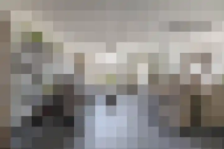 Blazer 7 Stellendam foto 2