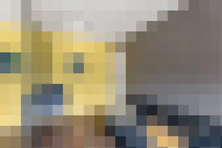 Bleek 20 Middelburg thumbnail 31