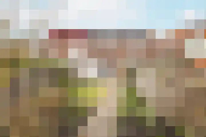 Bleek 20 Middelburg thumbnail 5