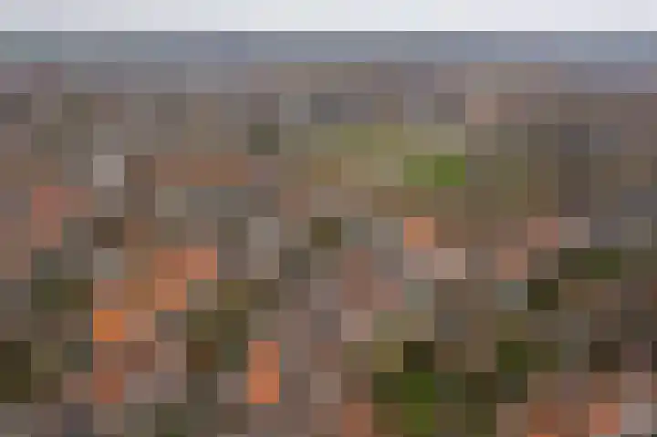 Bleek 20 Middelburg thumbnail 7