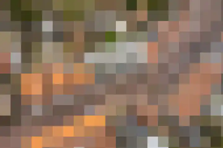 Bleek 20 Middelburg thumbnail 8