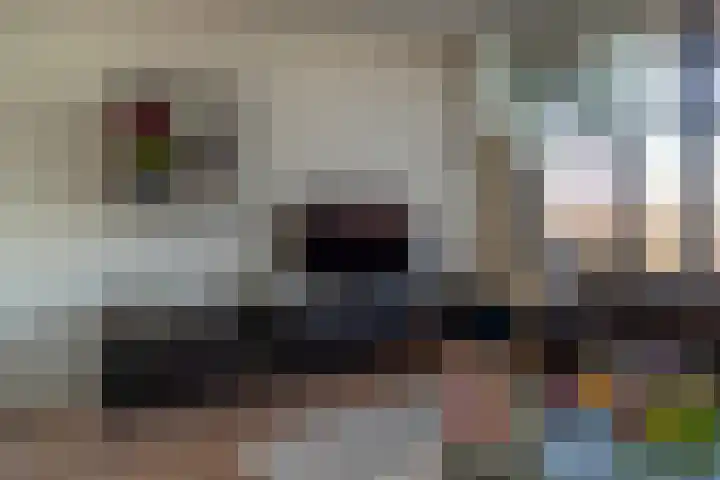Bleek 26 Harderwijk thumbnail 17