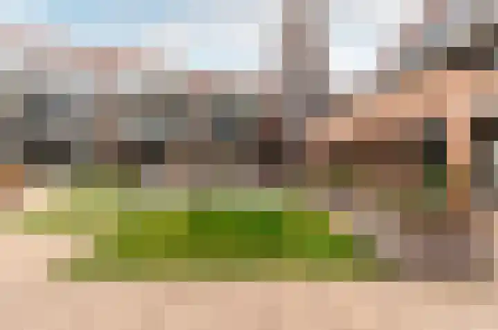 Bleek 26 Harderwijk thumbnail 25