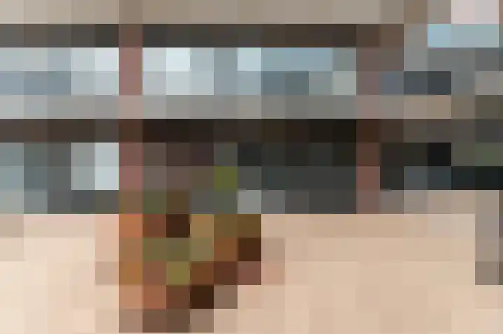 Bleek 26 Harderwijk thumbnail 28