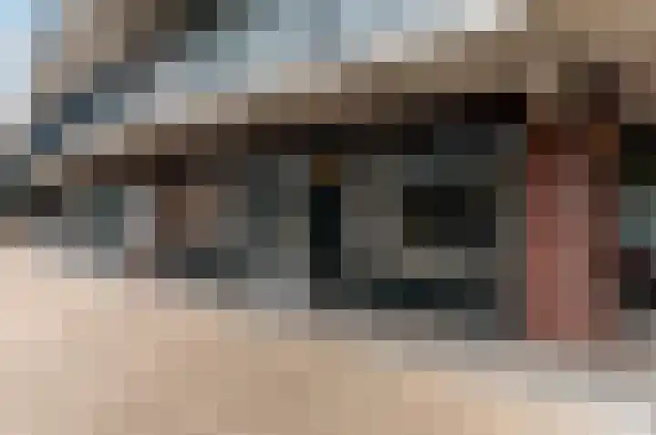 Bleek 26 Harderwijk thumbnail 30