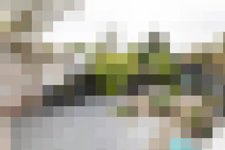 Bleek 26 Middelburg thumbnail 16
