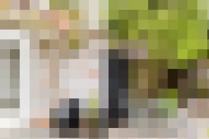 Bleek 26 Middelburg thumbnail 17