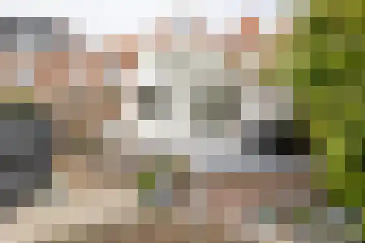 Bleek 26 Middelburg thumbnail 18