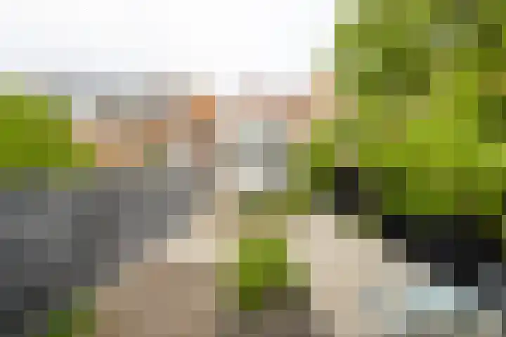 Bleek 26 Middelburg thumbnail 19