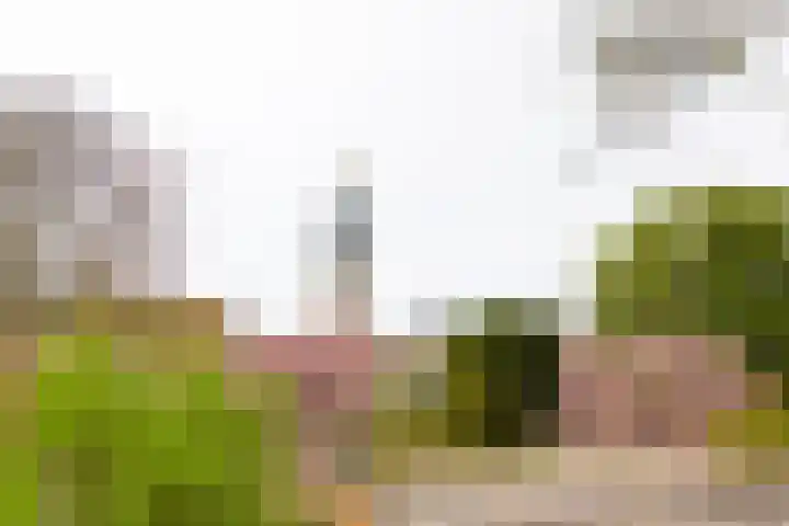 Bleek 26 Middelburg thumbnail 20