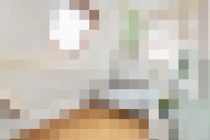 Bleek 26 Middelburg thumbnail 33