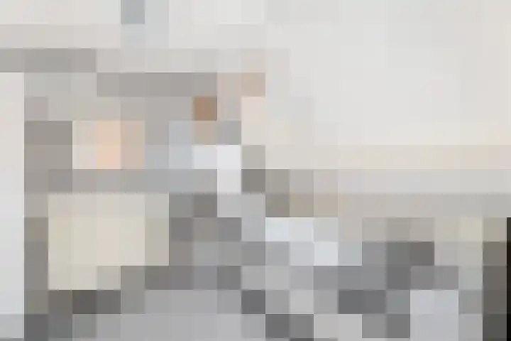 Bleek 26 Middelburg thumbnail 36