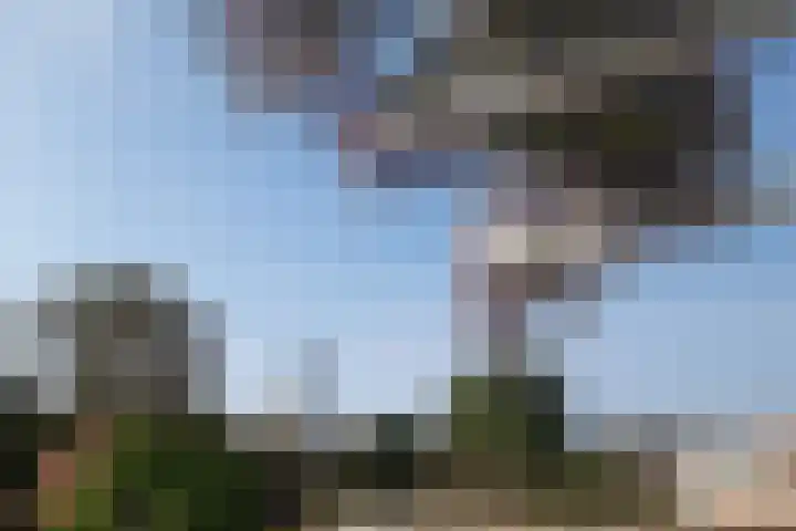 Bleek 26 Middelburg thumbnail 43