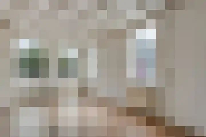 Bleekerseiland 1 Meppel thumbnail 5