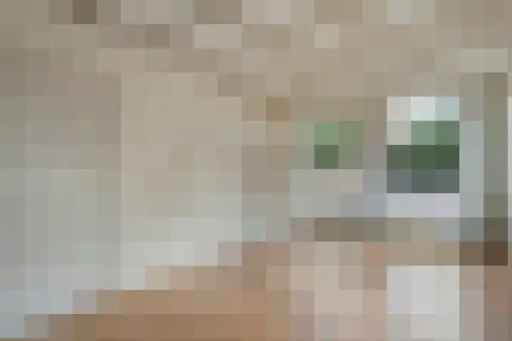 Bleekerseiland 1 Meppel thumbnail 6