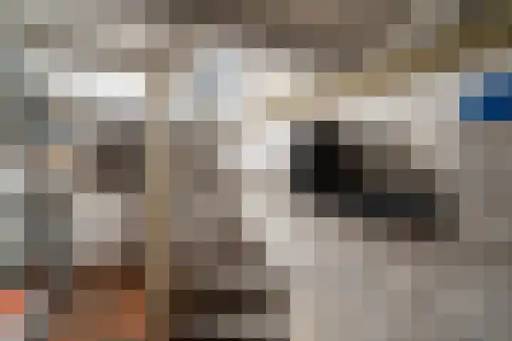 Bleekstraat 13 Stramproy thumbnail 21