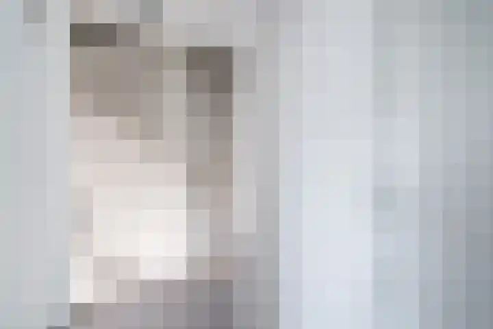 Bleekstraat 13 Stramproy thumbnail 22
