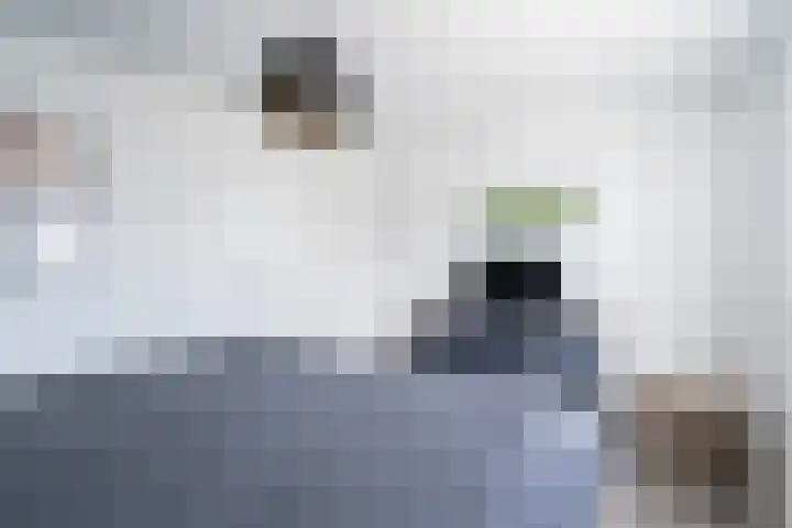 Bleekstraat 13 Stramproy thumbnail 25