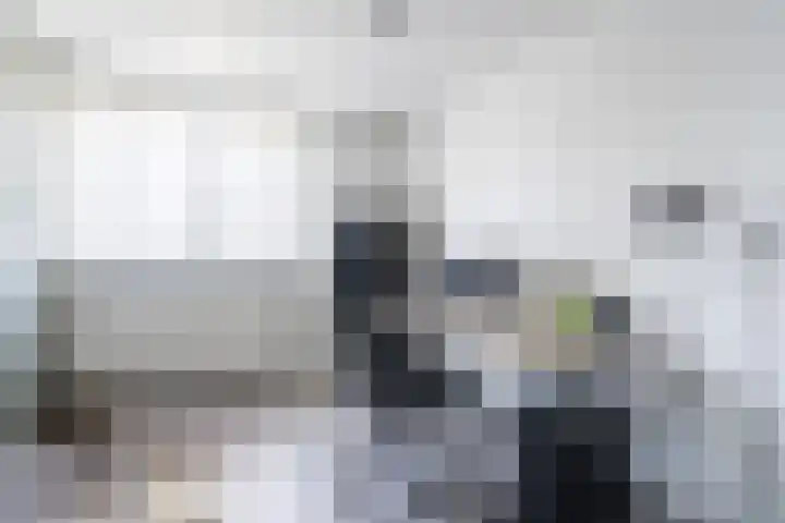 Bleekstraat 13 Stramproy thumbnail 26