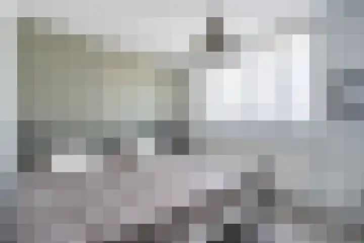 Bleekstraat 13 Stramproy thumbnail 29