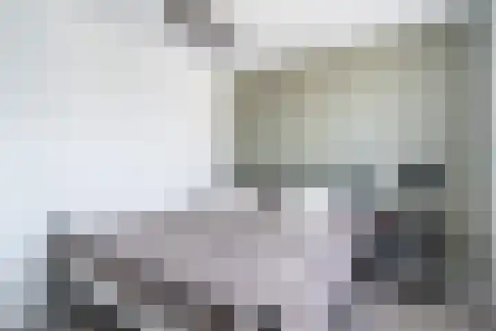 Bleekstraat 13 Stramproy thumbnail 30