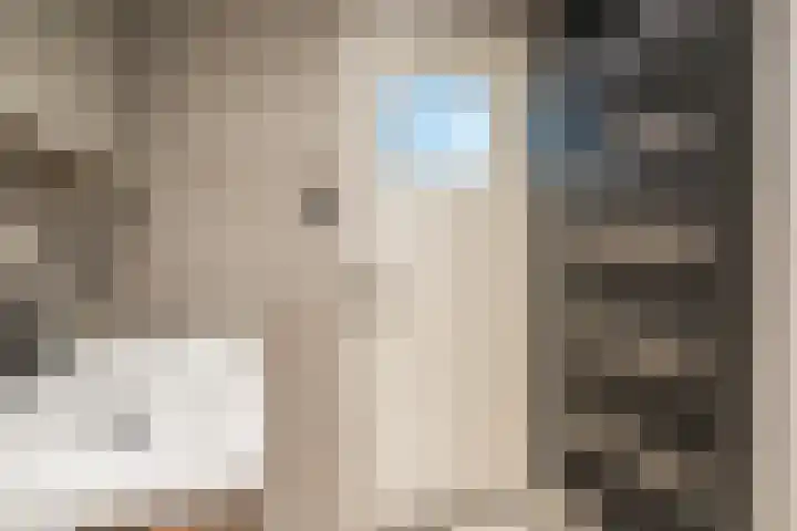 Bleekstraat 13 Stramproy thumbnail 34