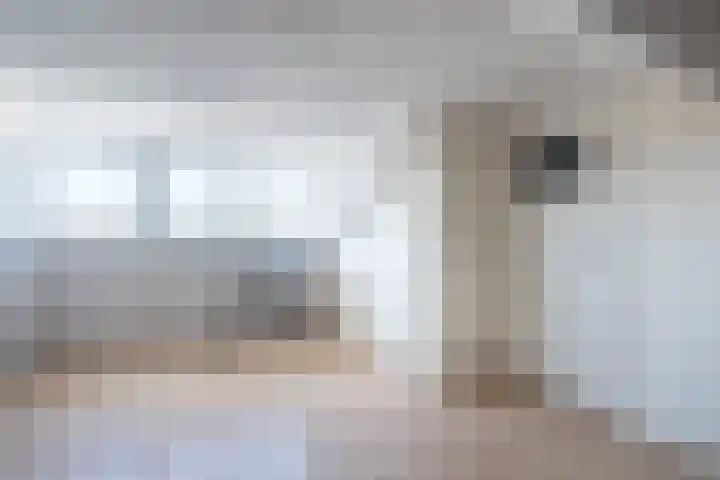 Bleekstraat 13 Stramproy thumbnail 38