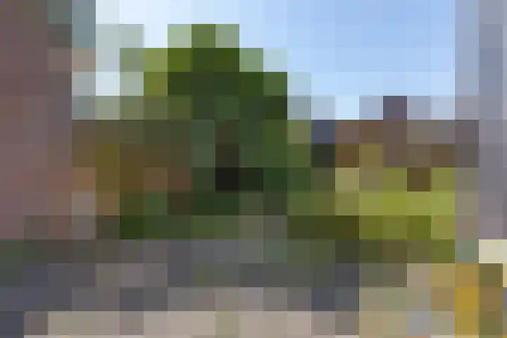 Bleekstraat 36 Vlaardingen thumbnail 17