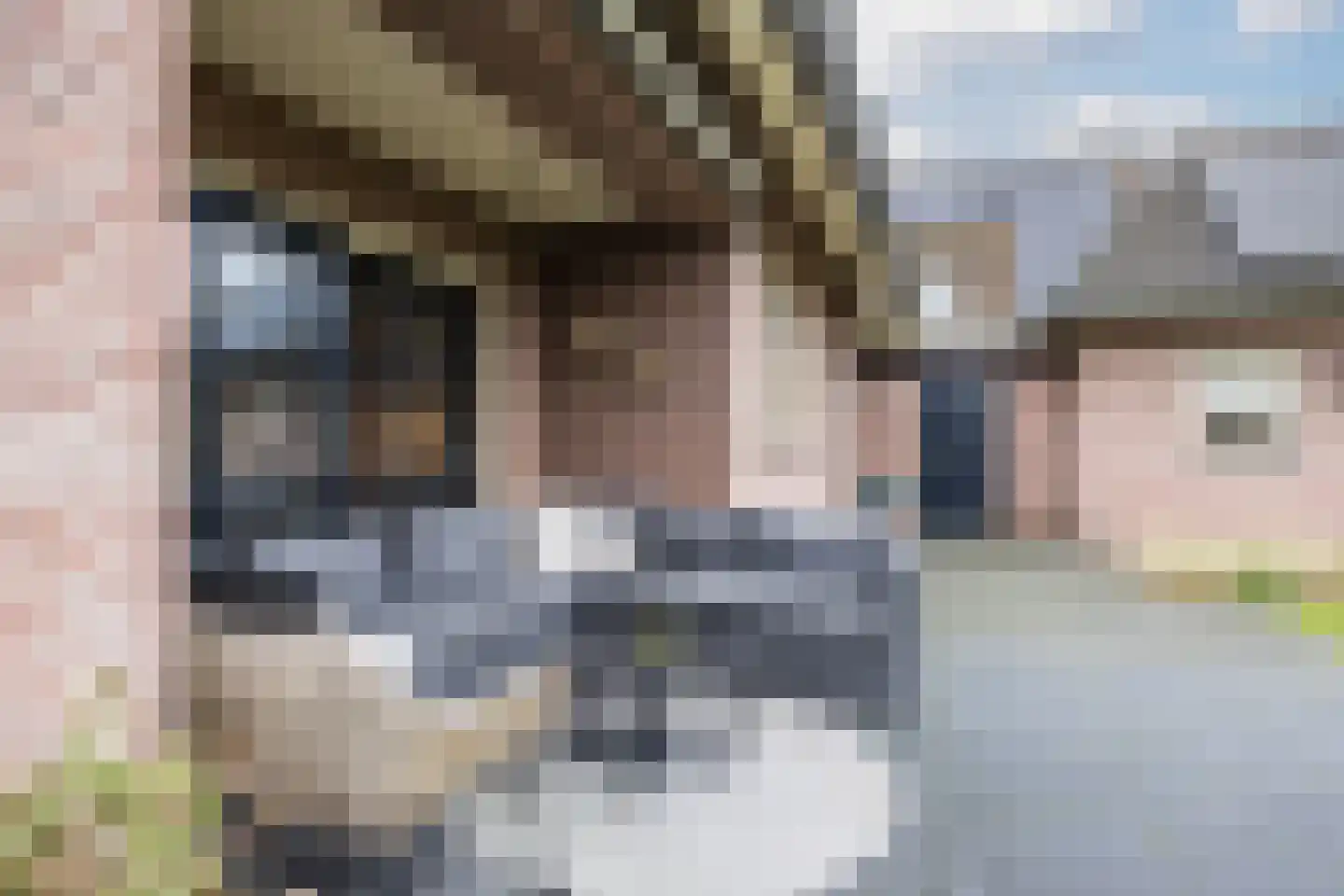 Bleekweide 2 Erp thumbnail 44