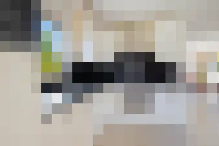 Bleijenbeek 47 Roden thumbnail 15