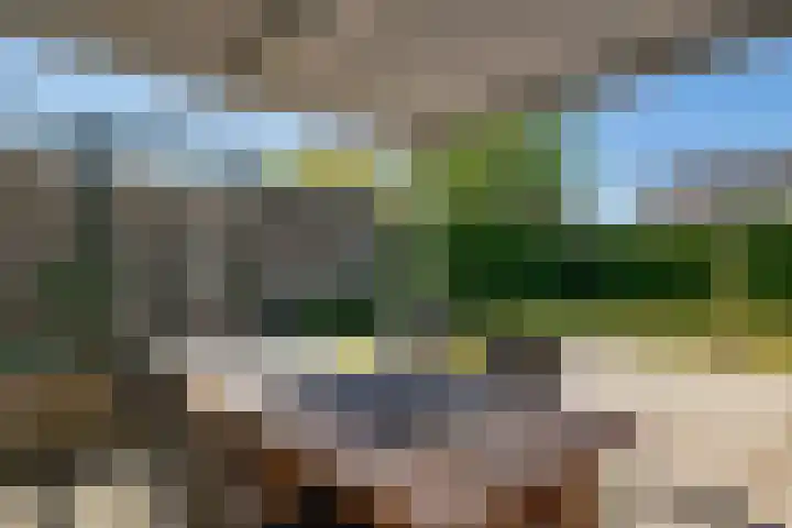 Bleijenbeek 47 Roden thumbnail 16