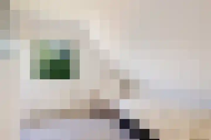 Bleijenbeek 47 Roden thumbnail 25