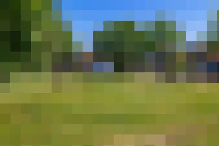 Bleijenbeek 47 Roden thumbnail 32