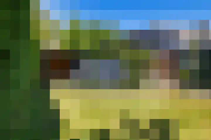 Bleijenbeek 47 Roden thumbnail 4