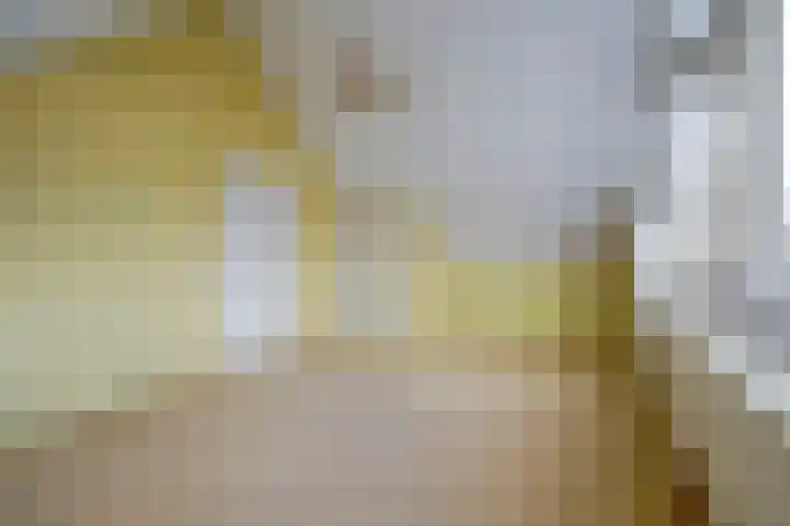 Bleijenburg 1 B De Lier thumbnail 23