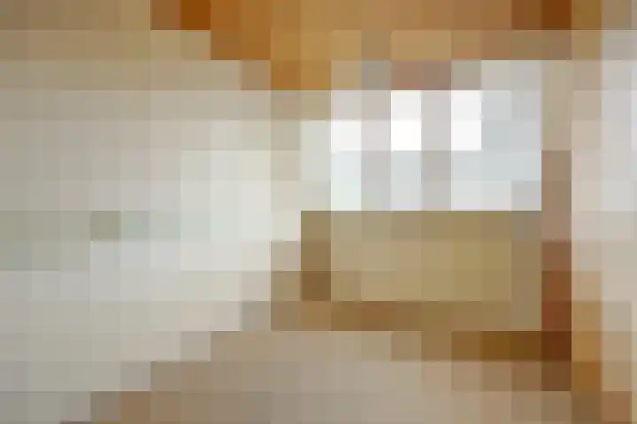 Bleijenburg 1 B De Lier thumbnail 24