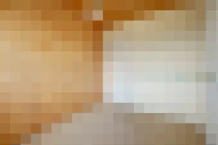 Bleijenburg 1 B De Lier thumbnail 25