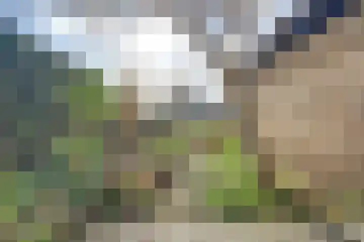 Bleijenburg 1 B De Lier thumbnail 32