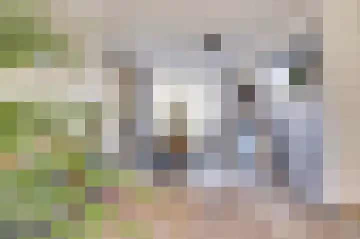 Bleijenburg 120 De Lier thumbnail 10