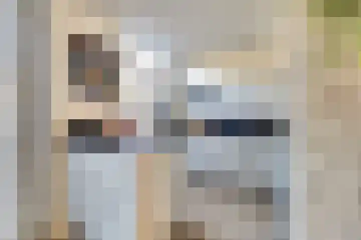 Bleijenburg 120 De Lier thumbnail 13