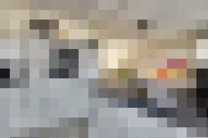 Bleijenburg 120 De Lier thumbnail 15