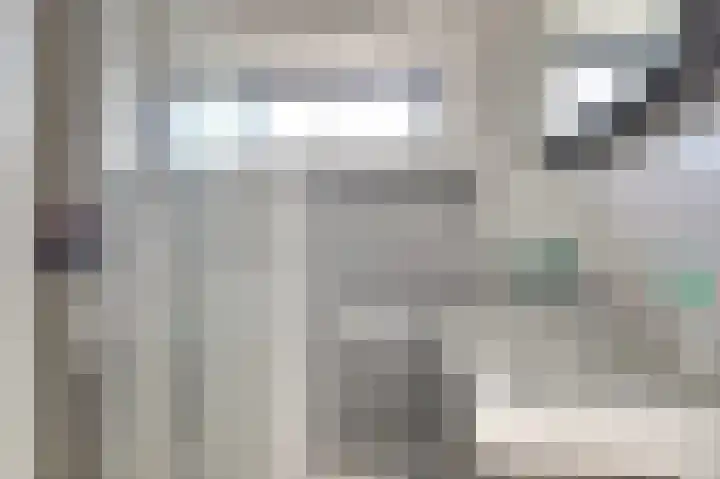 Bleijenburg 120 De Lier thumbnail 24
