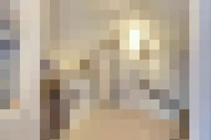 Bleijenburg 120 De Lier thumbnail 26