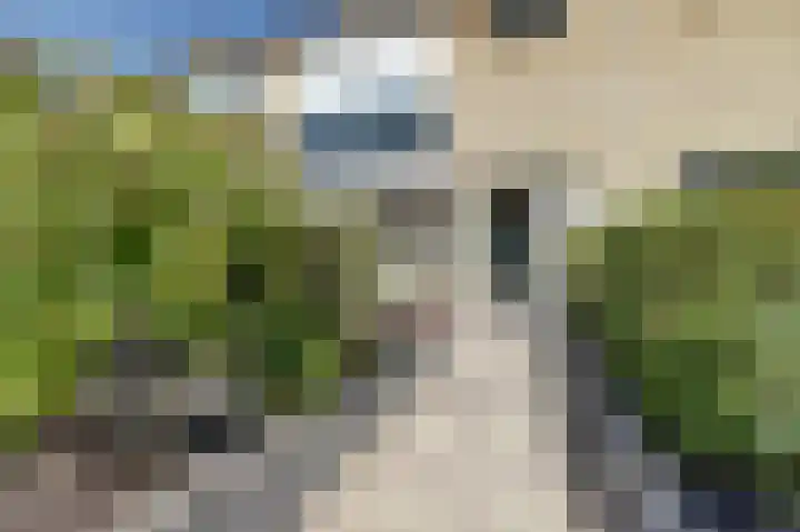 Bleijenburg 120 De Lier thumbnail 36
