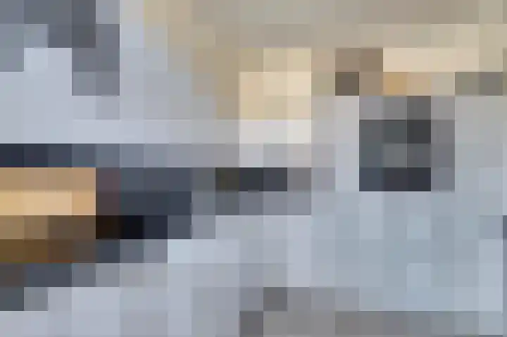 Bleijenburg 120 De Lier thumbnail 5